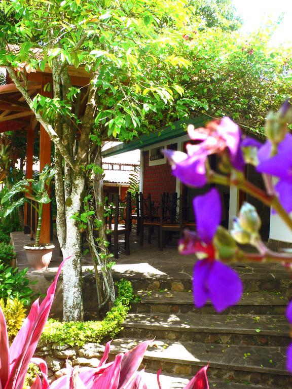 Bubinzana Magical Lodge Tarapoto Εξωτερικό φωτογραφία